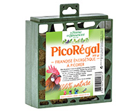 PicoRégal