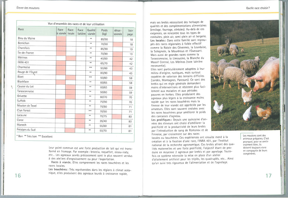 Les moutons, guide de l'éleveur amateur