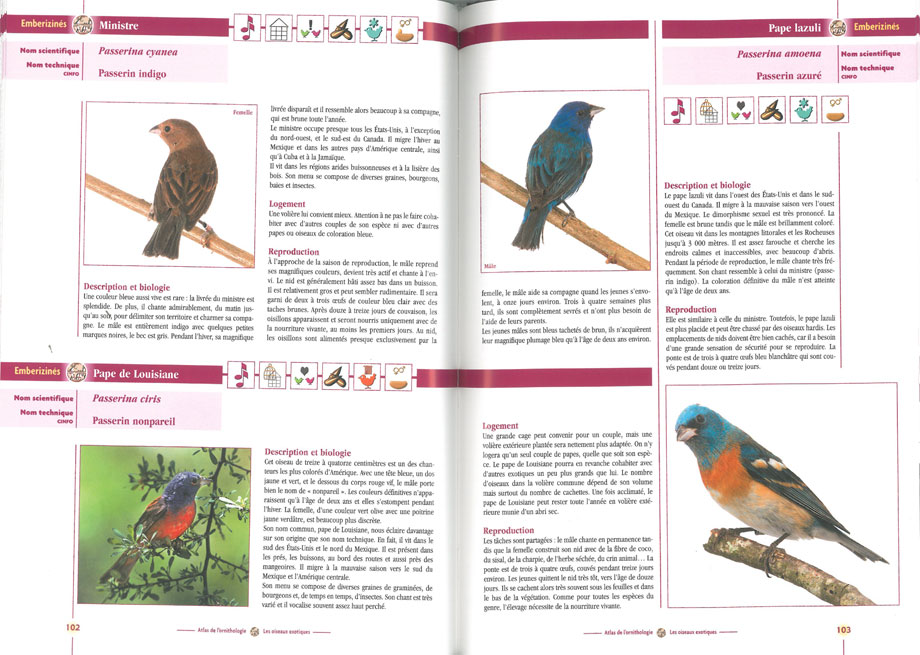 Atlas de l’ornithologie vol. 2