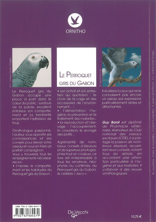 Le perroquet gris du Gabon