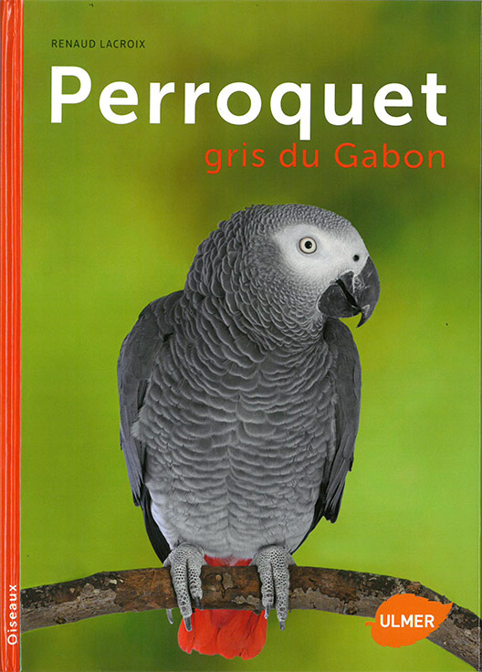 Livre Perroquet gris du Gabon